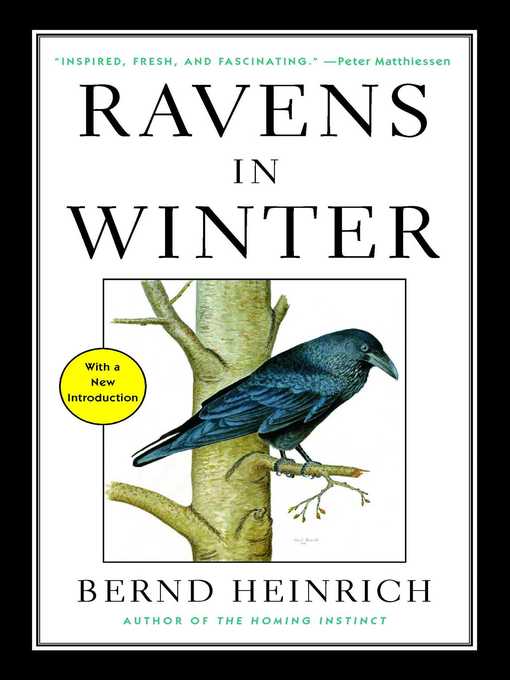 Title details for Ravens in Winter by Bernd Heinrich - Wait list